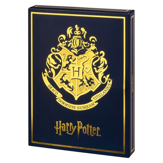 Gift Box Harry Potter skarpetki damskie książka - 6 par ze sklepu Sklep SOXO w kategorii Skarpetki damskie - zdjęcie 170902614