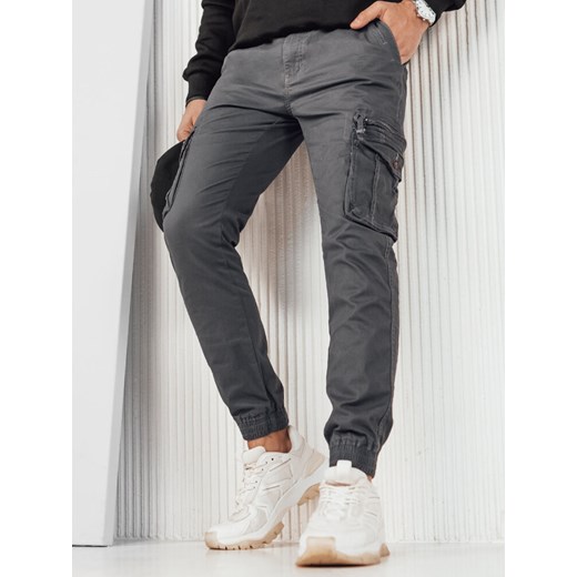 Spodnie męskie bojówki szare Dstreet UX4183 ze sklepu DSTREET.PL w kategorii Spodnie męskie - zdjęcie 171484410