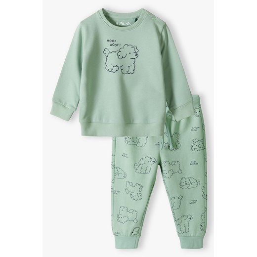Dzianinowy komplet dresowy - zielona bluza i spodnie z pieskiem - 5.10.15. ze sklepu 5.10.15 w kategorii Dresy dla niemowlaka - zdjęcie 171598152