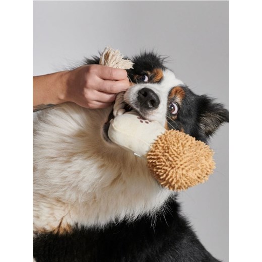 Sinsay - Zabawka dla zwierząt - beżowy ze sklepu Sinsay w kategorii Dla zwierząt - zdjęcie 171693400