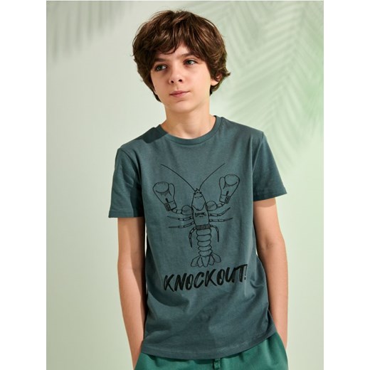 Sinsay - Koszulka - szary ze sklepu Sinsay w kategorii T-shirty chłopięce - zdjęcie 171937350