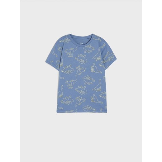 Sinsay - Koszulka - szary ze sklepu Sinsay w kategorii T-shirty chłopięce - zdjęcie 172079644