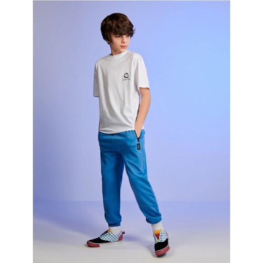 Sinsay - Spodnie dresowe jogger - niebieski ze sklepu Sinsay w kategorii Spodnie chłopięce - zdjęcie 172094594