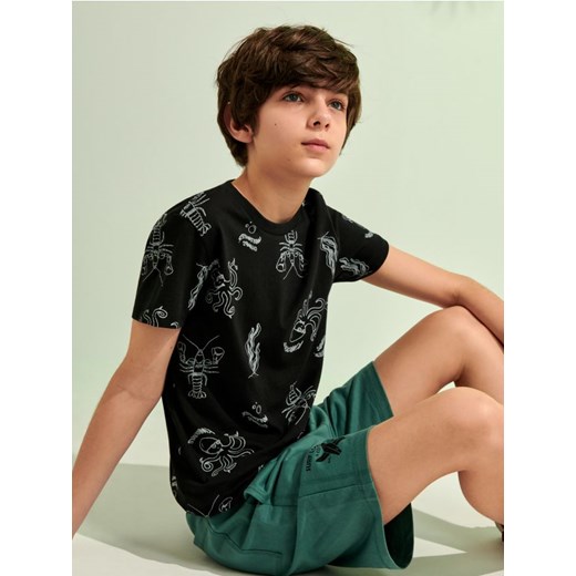Sinsay - Koszulka - czarny ze sklepu Sinsay w kategorii T-shirty chłopięce - zdjęcie 172094641