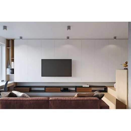 Szary minimalistyczny plafon LED walec - EX655-Tiubo Lumes One Size Edinos.pl
