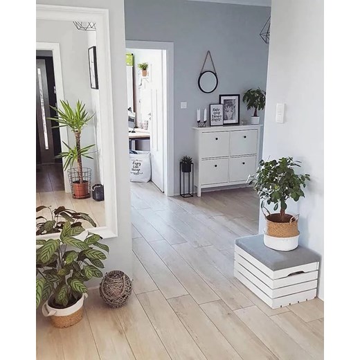 Naturalna sosnowa skrzynia do przechowywania Alva 3X- 38 kolorów Elior One Size Edinos.pl