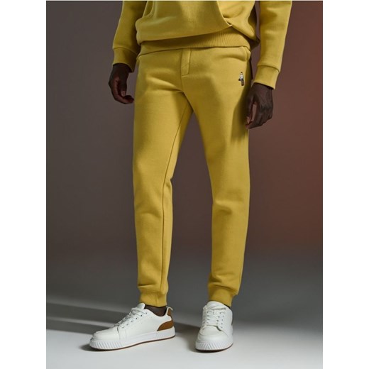 Sinsay - Spodnie dresowe jogger - żółty ze sklepu Sinsay w kategorii Spodnie męskie - zdjęcie 172241143