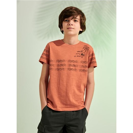 Sinsay - Koszulka z nadrukiem - brązowy ze sklepu Sinsay w kategorii T-shirty chłopięce - zdjęcie 172271333