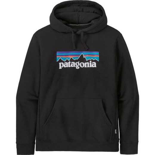 Bluza męska Patagonia 