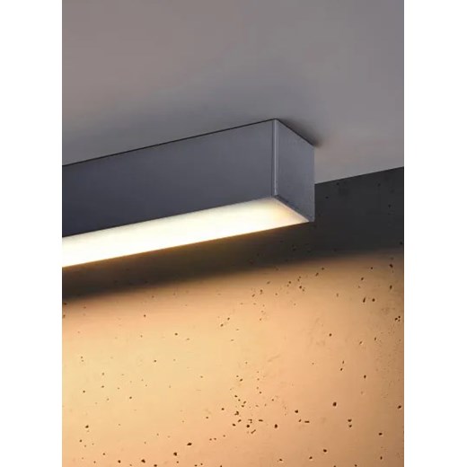 Srebrny podłużny plafon z modułem LED 4000 K - EX626-Pini Lumes One Size Edinos.pl