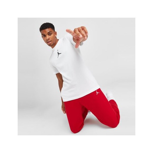 JORDAN T-SHIRT CENTRAL LOGO T-SHIRT ze sklepu Sizeer w kategorii T-shirty męskie - zdjęcie 172325912