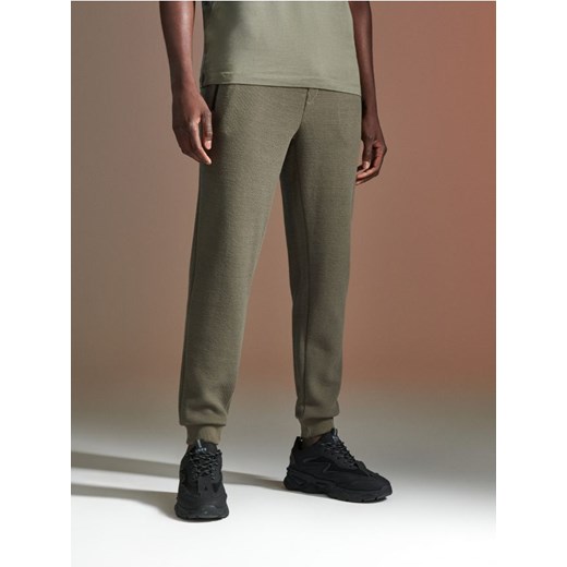 Sinsay - Spodnie dresowe - szary ze sklepu Sinsay w kategorii Spodnie męskie - zdjęcie 172385782