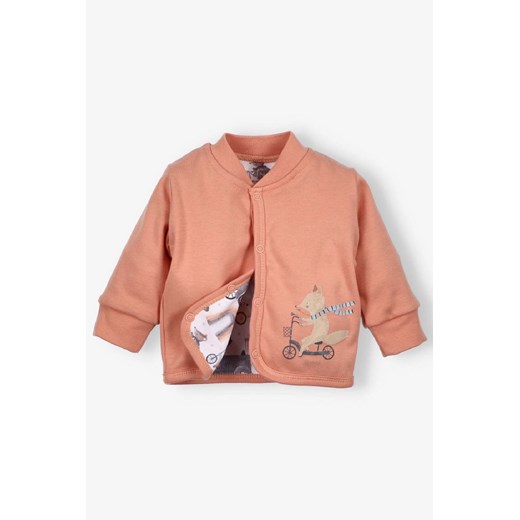 Niemowlęca bluza CUTE CARS z bawełny- pomarańczowa ze sklepu 5.10.15 w kategorii Bluzy i swetry - zdjęcie 172402971