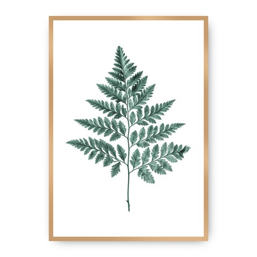 Plakat Fern Emerald Green ze sklepu dekoria.pl w kategorii Obrazy - zdjęcie 172474152