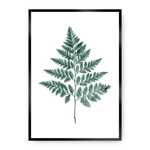 Plakat Fern Emerald Green ze sklepu dekoria.pl w kategorii Obrazy - zdjęcie 172474153