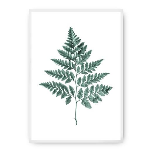 Plakat Fern Emerald Green ze sklepu dekoria.pl w kategorii Obrazy - zdjęcie 172474154