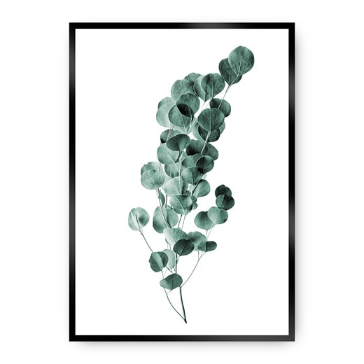 Plakat Eucalyptus Emerald Green ze sklepu dekoria.pl w kategorii Obrazy - zdjęcie 172474181