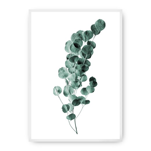 Plakat Eucalyptus Emerald Green ze sklepu dekoria.pl w kategorii Obrazy - zdjęcie 172474190