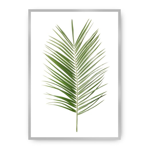 Plakat Palm Leaf Green ze sklepu dekoria.pl w kategorii Obrazy - zdjęcie 172474200