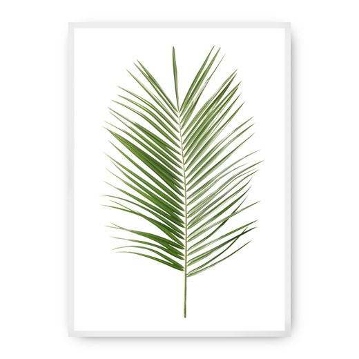 Plakat Palm Leaf Green ze sklepu dekoria.pl w kategorii Obrazy - zdjęcie 172474202