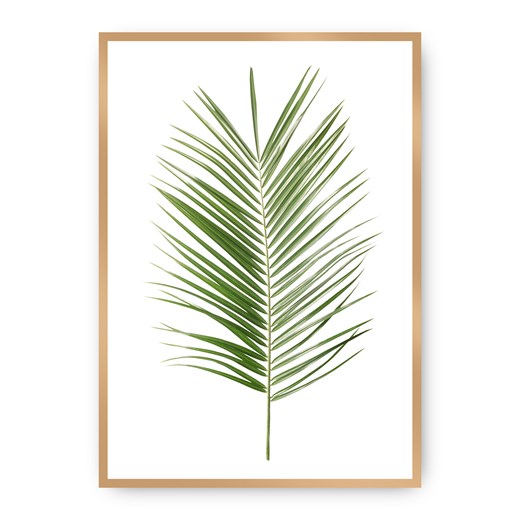 Plakat Palm Leaf Green ze sklepu dekoria.pl w kategorii Obrazy - zdjęcie 172474203
