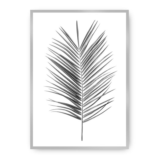 Plakat Palm Leaf Green ze sklepu dekoria.pl w kategorii Obrazy - zdjęcie 172474204