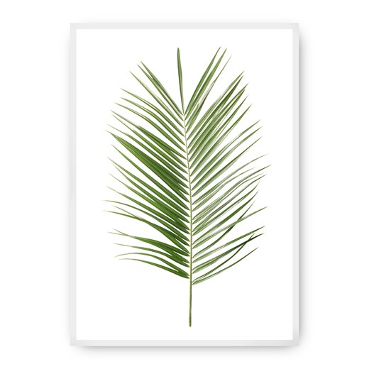 Plakat Palm Leaf Green ze sklepu dekoria.pl w kategorii Obrazy - zdjęcie 172474210