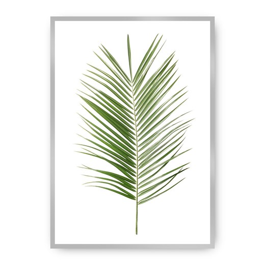 Plakat Palm Leaf Green Dekoria One Size dekoria.pl