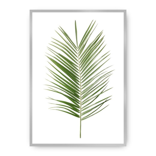 Plakat Palm Leaf Green ze sklepu dekoria.pl w kategorii Obrazy - zdjęcie 172474211