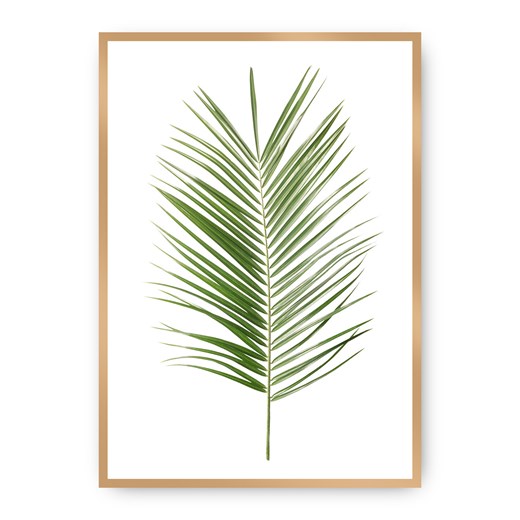 Plakat Palm Leaf Green ze sklepu dekoria.pl w kategorii Obrazy - zdjęcie 172474212