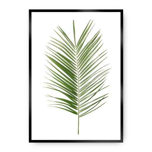 Plakat Palm Leaf Green ze sklepu dekoria.pl w kategorii Obrazy - zdjęcie 172474213