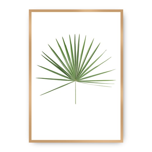 Plakat Tropical Leaf Green ze sklepu dekoria.pl w kategorii Obrazy - zdjęcie 172474271