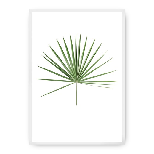Plakat Tropical Leaf Green ze sklepu dekoria.pl w kategorii Obrazy - zdjęcie 172474273