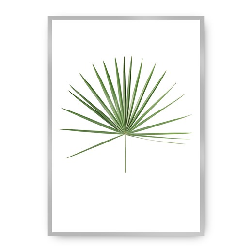Plakat Tropical Leaf Green ze sklepu dekoria.pl w kategorii Obrazy - zdjęcie 172474274