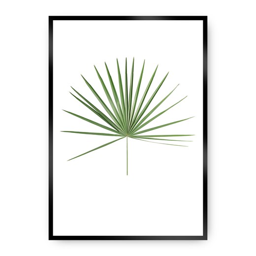 Plakat Tropical Leaf Green ze sklepu dekoria.pl w kategorii Obrazy - zdjęcie 172474280