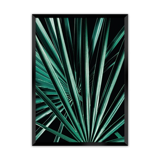 Plakat Dark Palm Tree ze sklepu dekoria.pl w kategorii Obrazy - zdjęcie 172476714