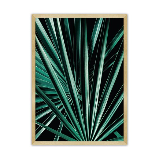 Plakat Dark Palm Tree ze sklepu dekoria.pl w kategorii Obrazy - zdjęcie 172476720