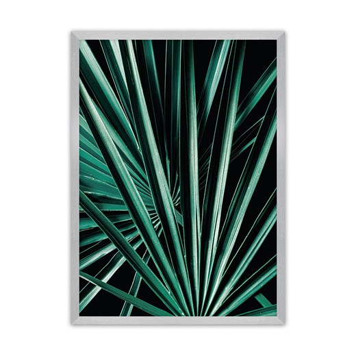 Plakat Dark Palm Tree Dekoria One Size dekoria.pl