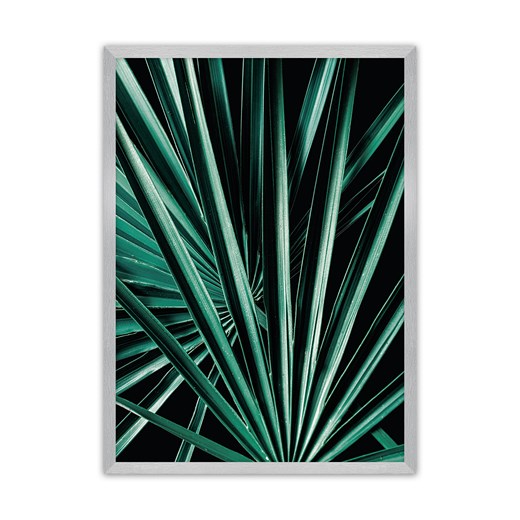Plakat Dark Palm Tree ze sklepu dekoria.pl w kategorii Obrazy - zdjęcie 172476721