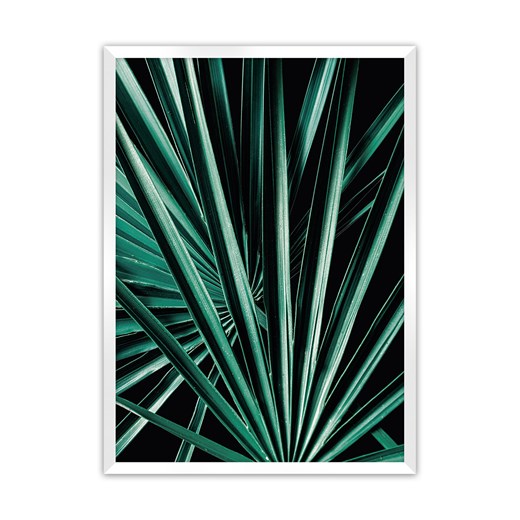 Plakat Dark Palm Tree ze sklepu dekoria.pl w kategorii Obrazy - zdjęcie 172476723