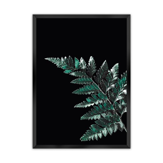 Plakat Dark Fern Leaf ze sklepu dekoria.pl w kategorii Obrazy - zdjęcie 172476730
