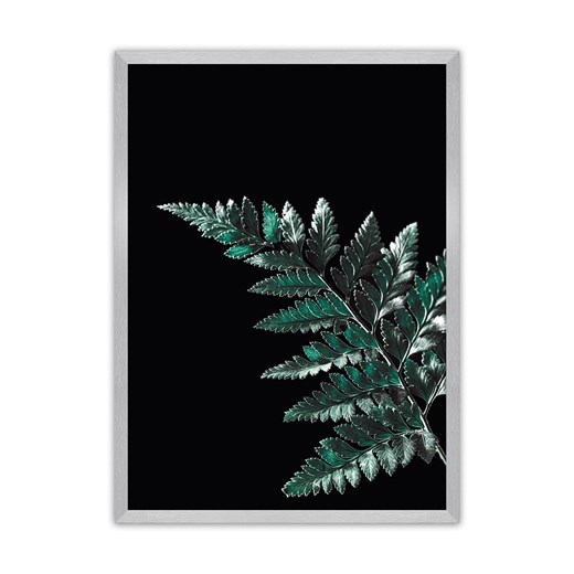 Plakat Dark Fern Leaf ze sklepu dekoria.pl w kategorii Obrazy - zdjęcie 172476732