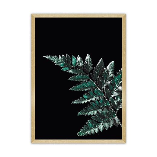 Plakat Dark Fern Leaf ze sklepu dekoria.pl w kategorii Obrazy - zdjęcie 172476740