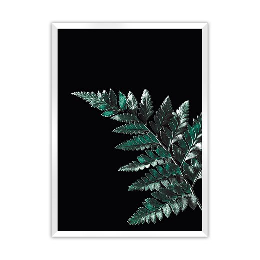 Plakat Dark Fern Leaf ze sklepu dekoria.pl w kategorii Obrazy - zdjęcie 172476743