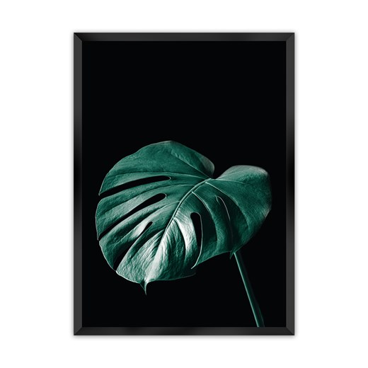 Plakat Dark Monstera ze sklepu dekoria.pl w kategorii Obrazy - zdjęcie 172476773