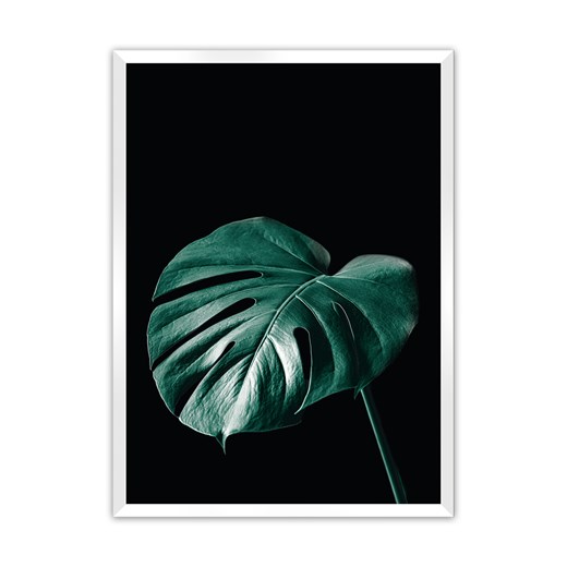 Plakat Dark Monstera ze sklepu dekoria.pl w kategorii Obrazy - zdjęcie 172476782