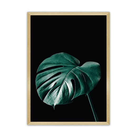 Plakat Dark Monstera ze sklepu dekoria.pl w kategorii Obrazy - zdjęcie 172476784
