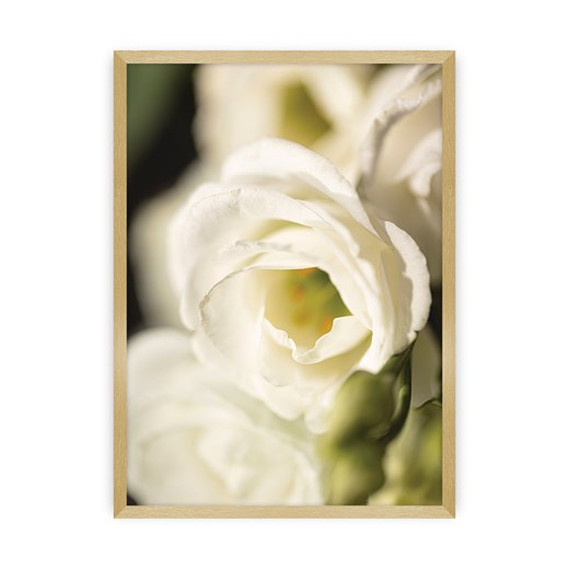 Plakat Flower Wall ze sklepu dekoria.pl w kategorii Obrazy - zdjęcie 172476800