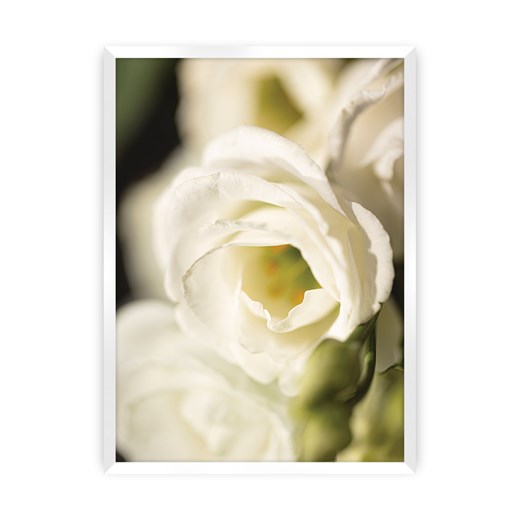 Plakat Flower Wall Dekoria One Size dekoria.pl