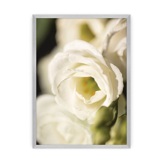 Plakat Flower Wall ze sklepu dekoria.pl w kategorii Obrazy - zdjęcie 172476803